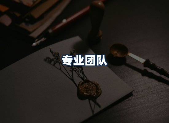 专业团队